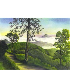 Coaker's walk